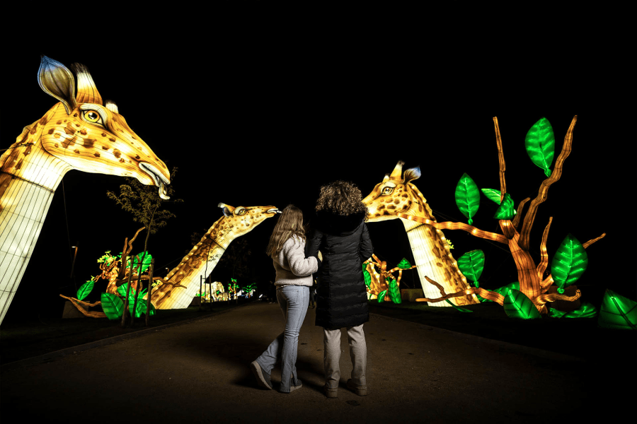 Una experiencia inmersiva que une arte y vida